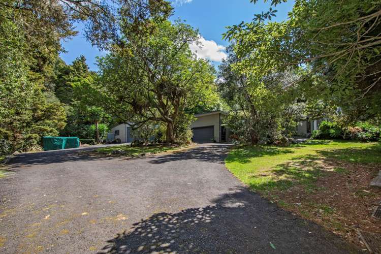 48 Woodland Road Kauri_21