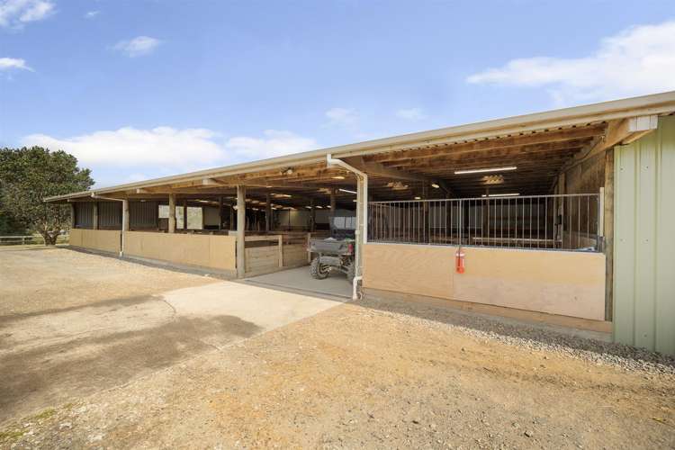 154 Muriwai Valley Road Waimauku_23