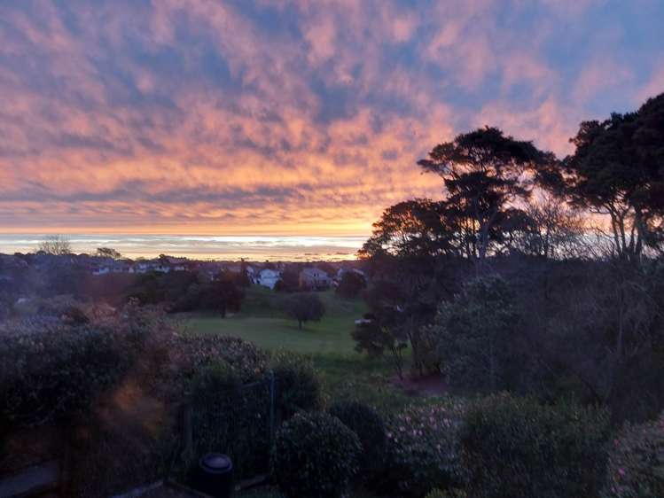 1/159 Norman Lesser Drive Saint Johns_24