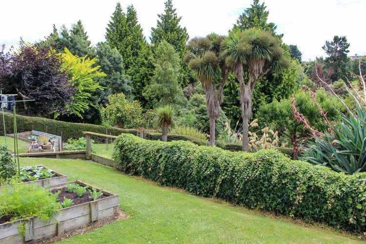 121 Douglas Street Highfield_22