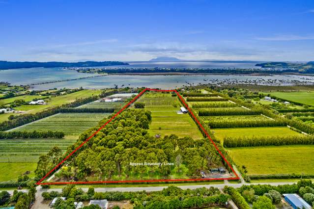 107 Jones Road Tawharanui Peninsula_1