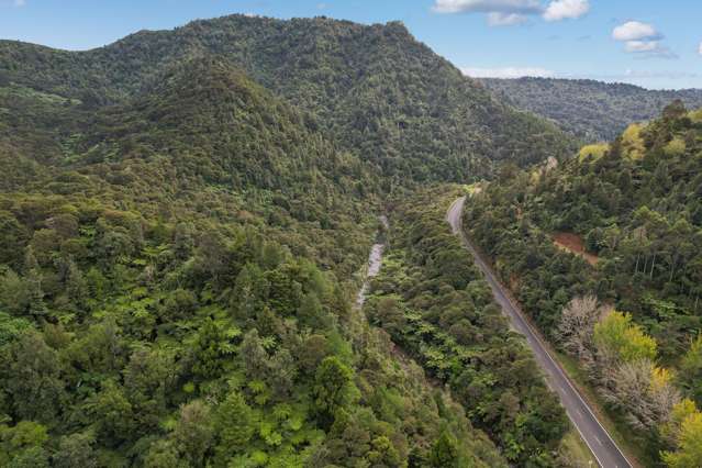 495 Kopu Hikuai SH 25A Thames-coromandel_3