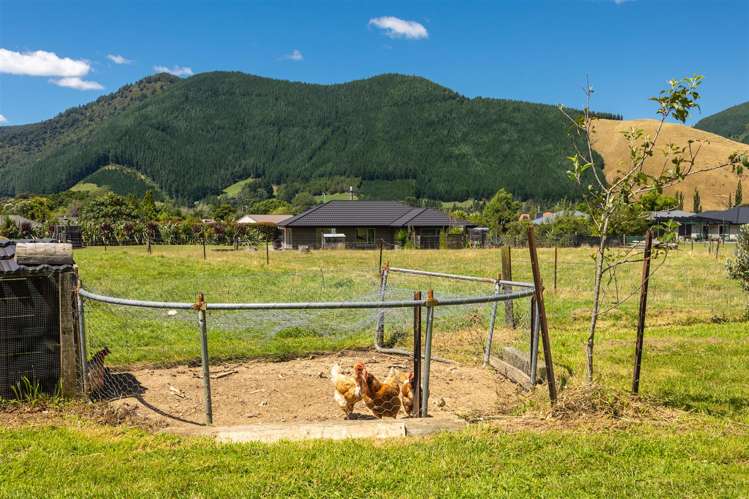 18 Robertson Mill Place Rai Valley_29