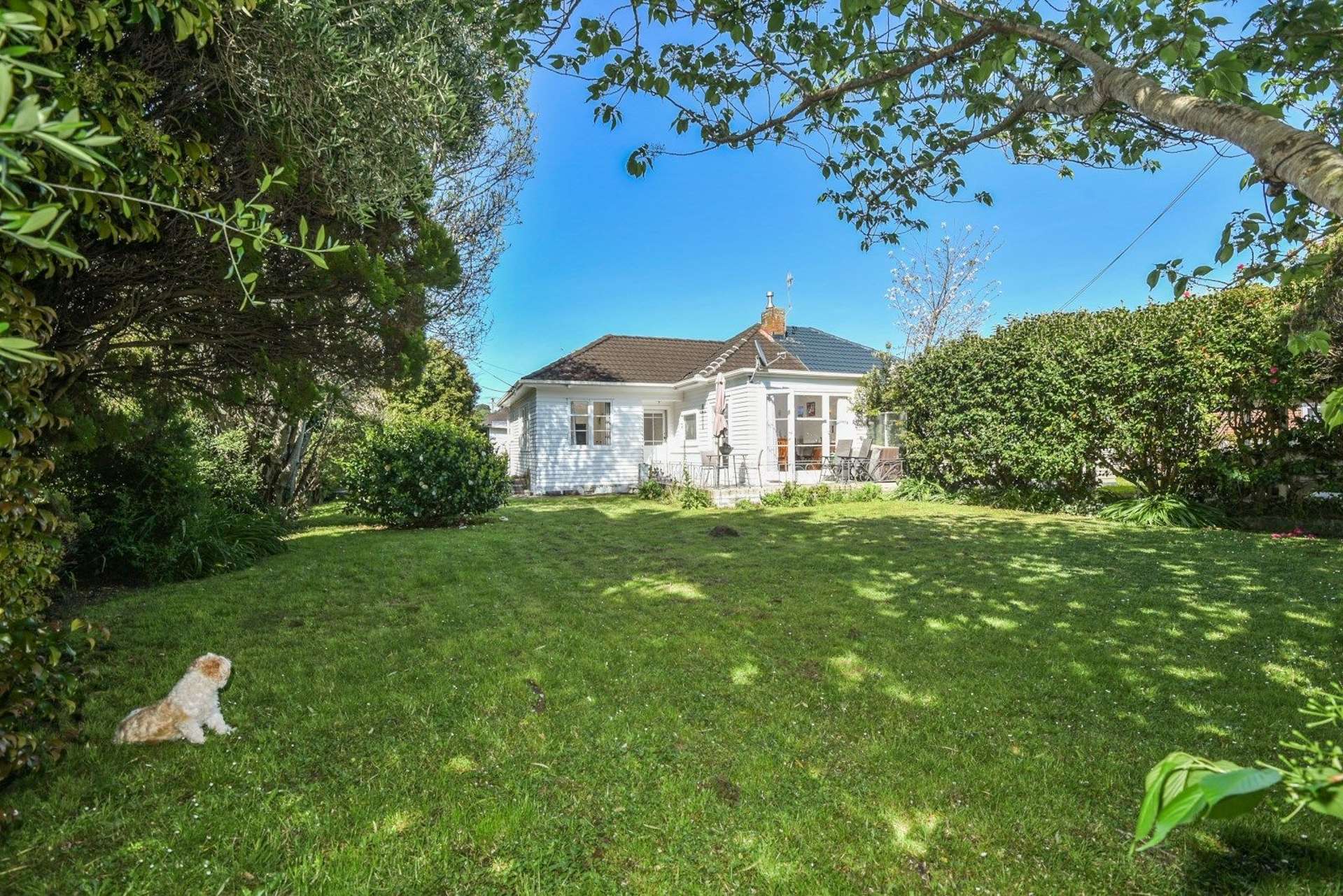 9 Garland Road Greenlane_0