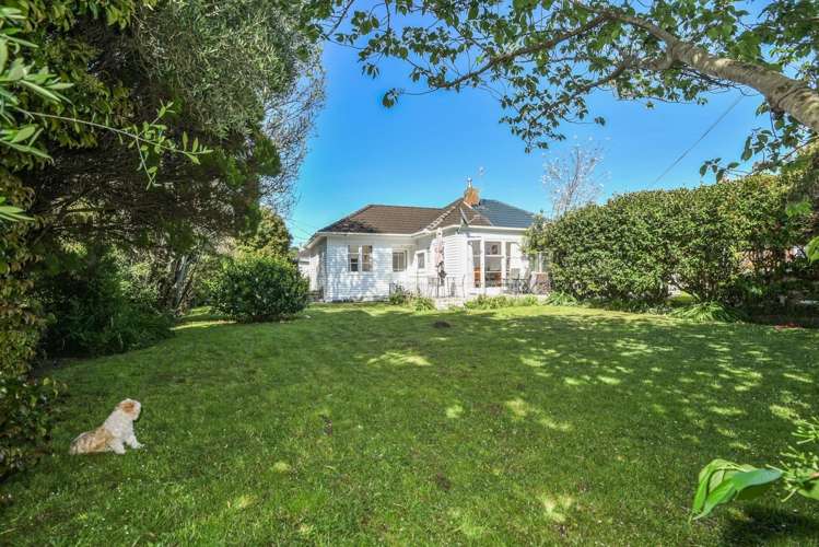 9 Garland Road Greenlane_0