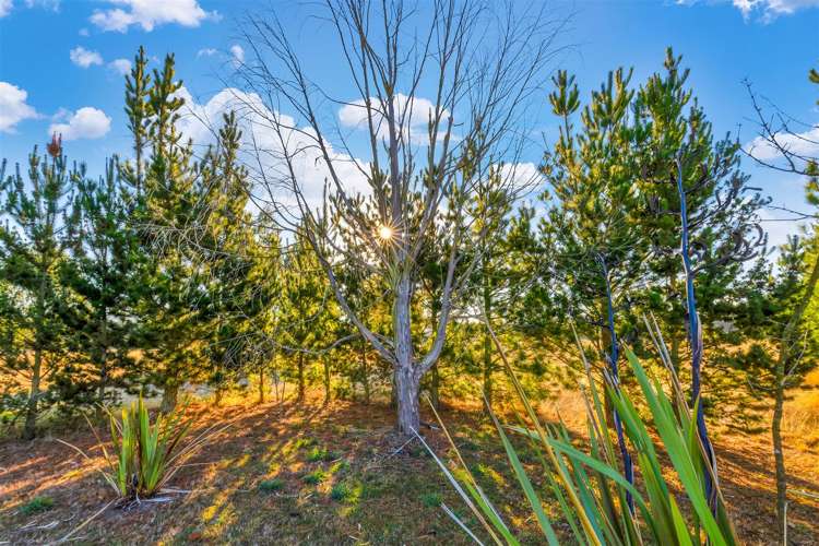 604 Downs Road West Eyreton_27