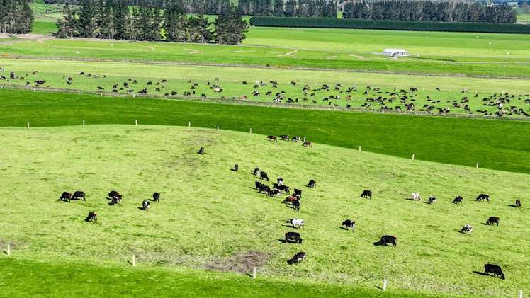 1095 Waimea Valley Road Nine Mile_7