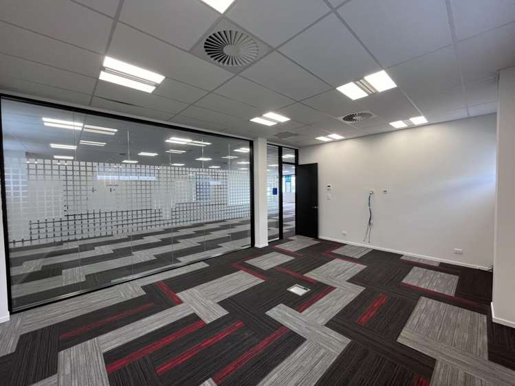 4 Murdoch Road Grey Lynn_9