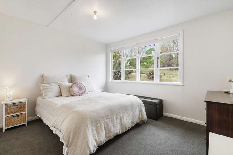 9 Lower Jeffs Road Dairy Flat_6