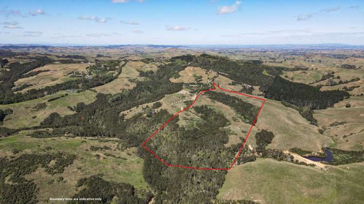 240b Esk Road Miranda_10