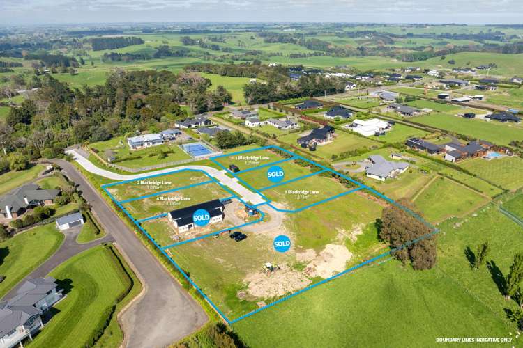 1 Blackridge Lane Feilding_6