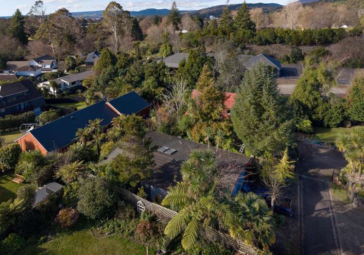 56A Moncur Drive Springfield_10
