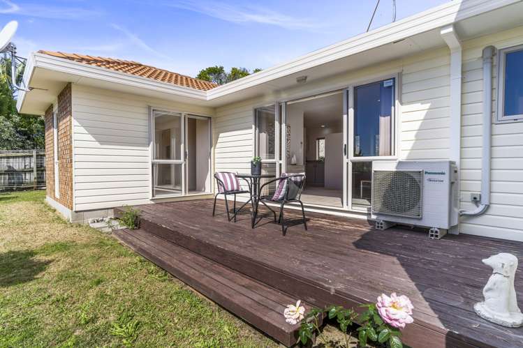 45a Harrier Street Parkvale_14