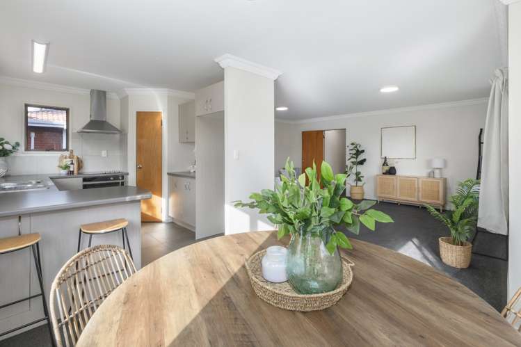 28 Selwyn Street Tauranga Central_1