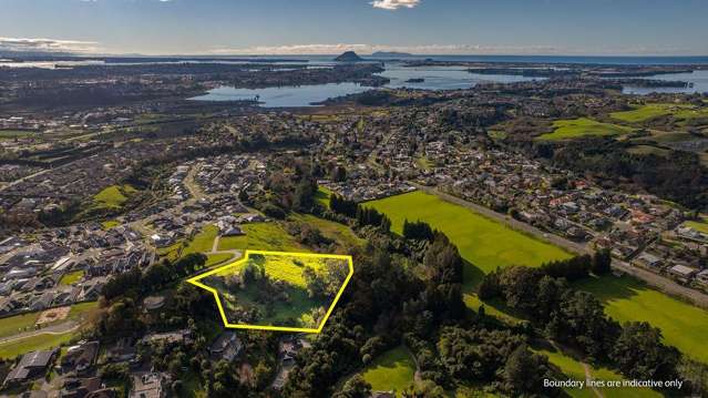 99 Carmen Way Ohauiti_2