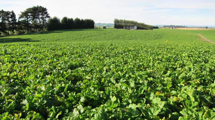 1010 Glenkenich Road Gore Surrounds_5