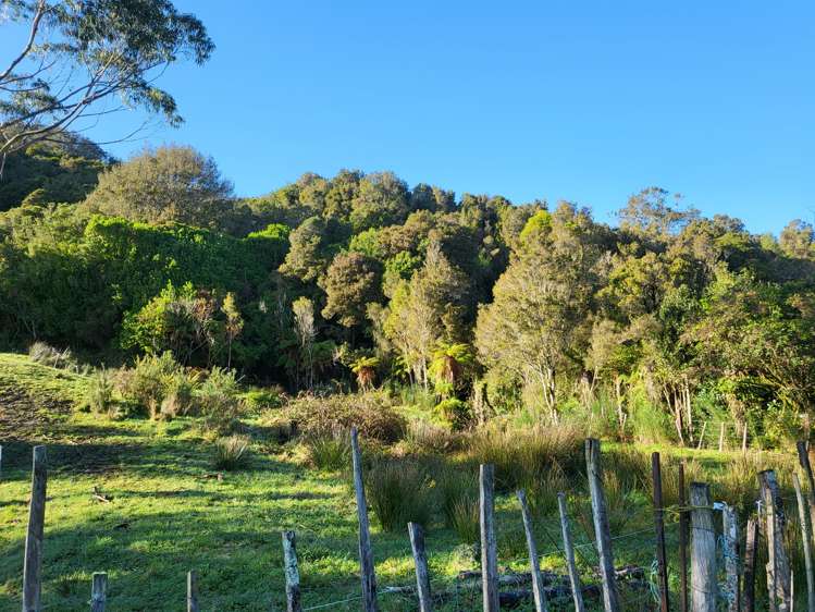 42 Herd Street Dunollie_3