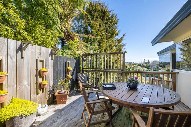 163a Heta Road Highlands Park_23