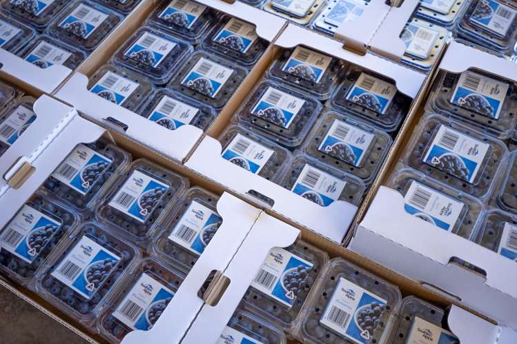 160 Tadmor Valley Road Tapawera_4