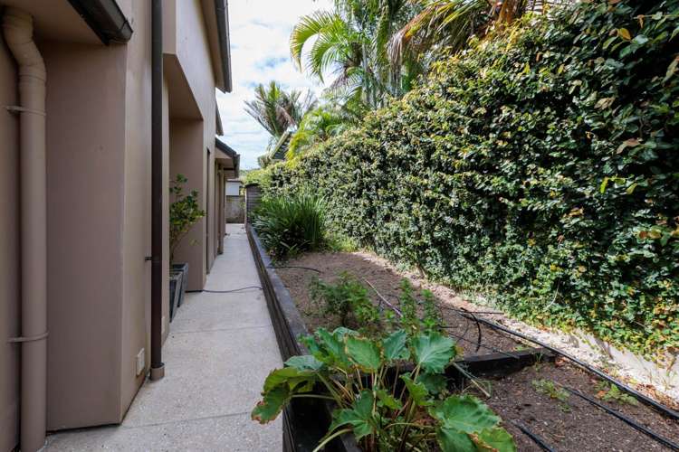 28B Edmund Street St Heliers_17