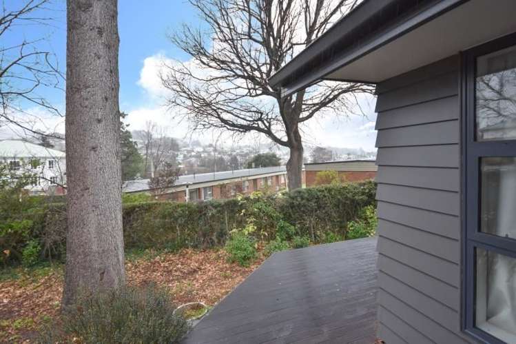 4b Will Street Green Island_10