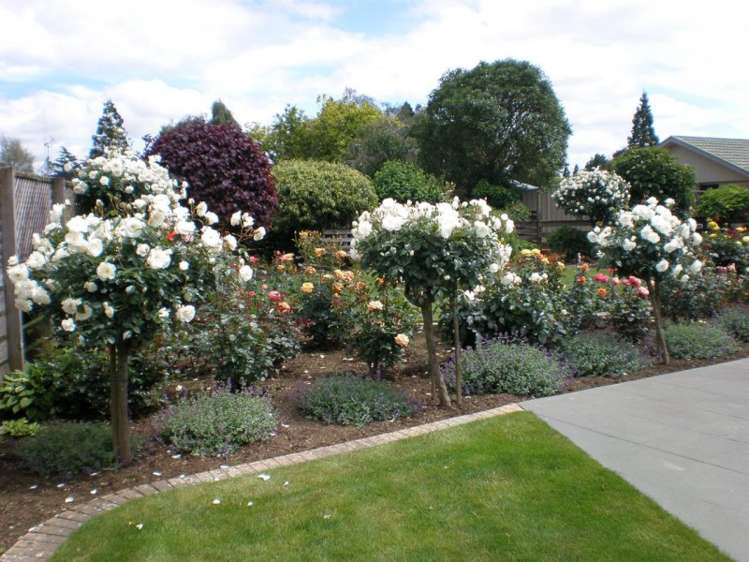 8 Tahawai Crescent Matamata_14