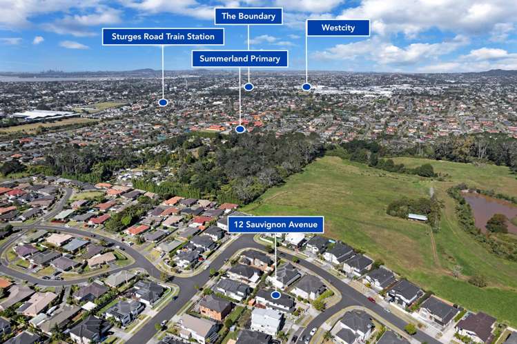 12 Sauvignon Avenue Ranui_30