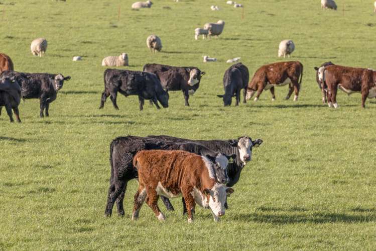 10 Riversleigh Road Glentunnel_23