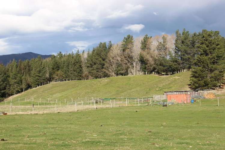 522 Ardgour Road Westland Surrounds_9