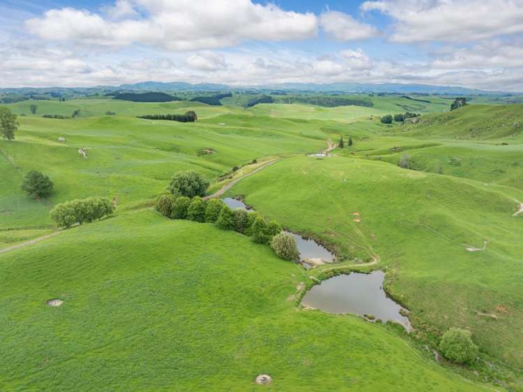 196 Waimanu Road Pukeatua_23