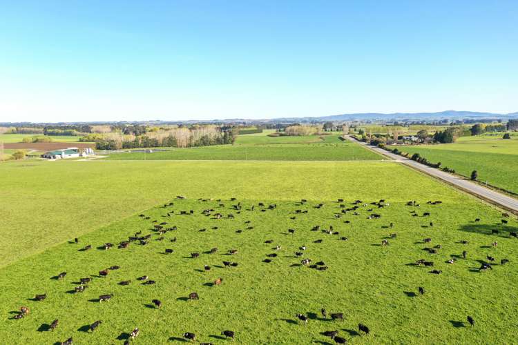 1128 Wyndham Road Wyndham_11