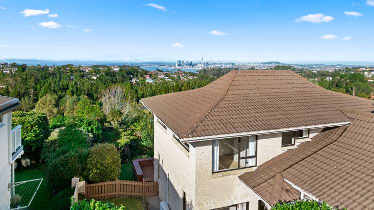 38 Balmain Road Chatswood_9