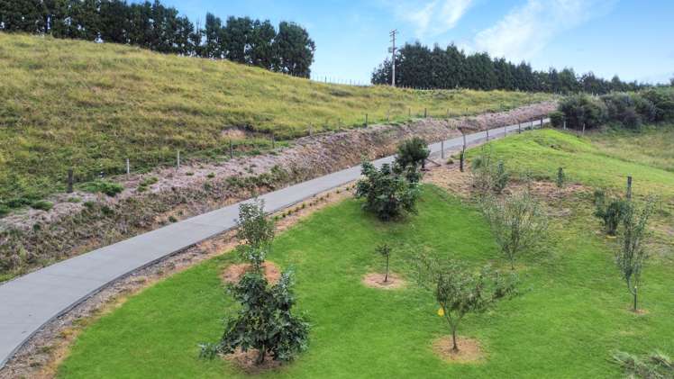 245 Paerata Ridge Road Opotiki and Surrounds_24