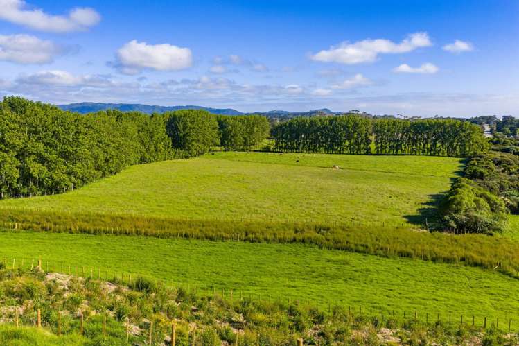 42 Ocean Sounds Place (Proposed Lots 4 and 5) Mangawhai_11