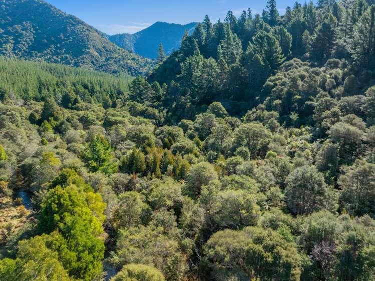 Lots 3 4 5 Nydia Bay Marlborough Sounds_29