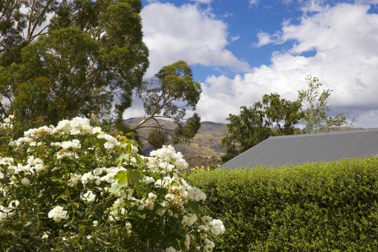 19 Hall Road Bannockburn_14