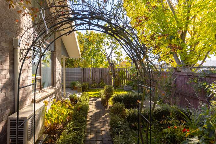 10b Bary Street Springlands_7