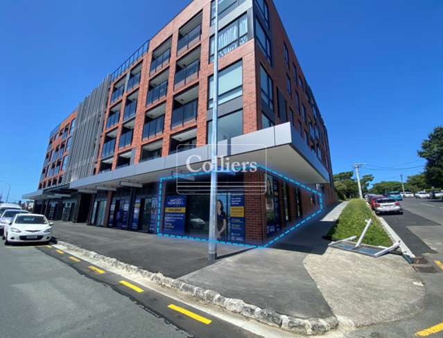 Unit G, 428  Dominion Road Mount Eden_2