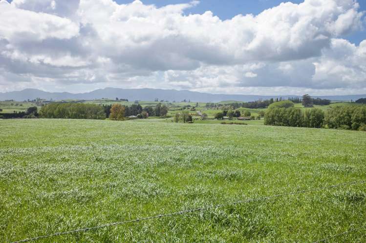 80 Paratu Road Richmond Downs_16