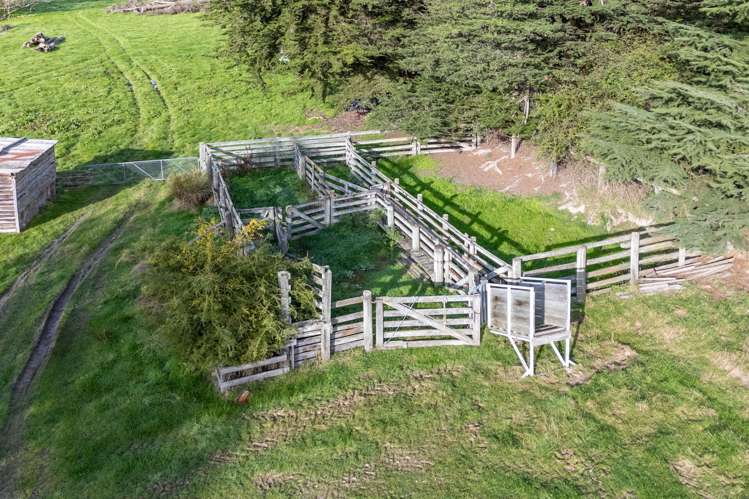 148 Casey Road Geraldine_22