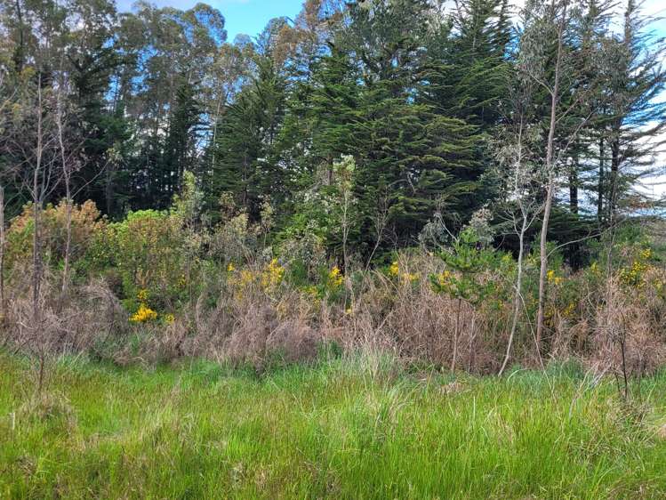 200 Nightcaps Ohai Highway Ohai_6