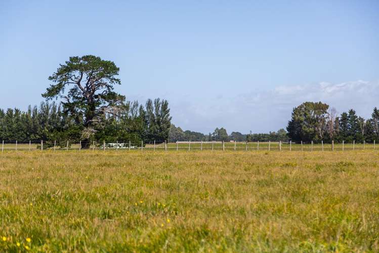 22 Spencer Lane Greytown_9