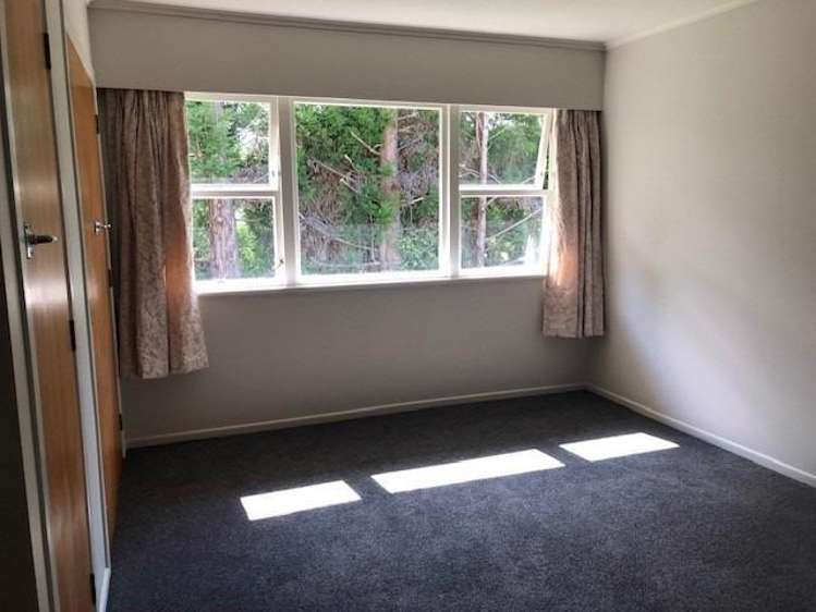 1015 Tairua-Whitianga Rd Whitianga_5