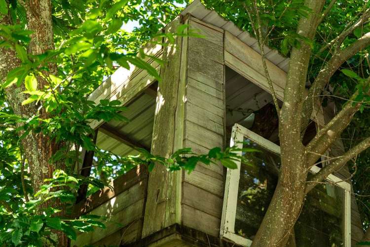 121 Bulltown Road Waihi_55