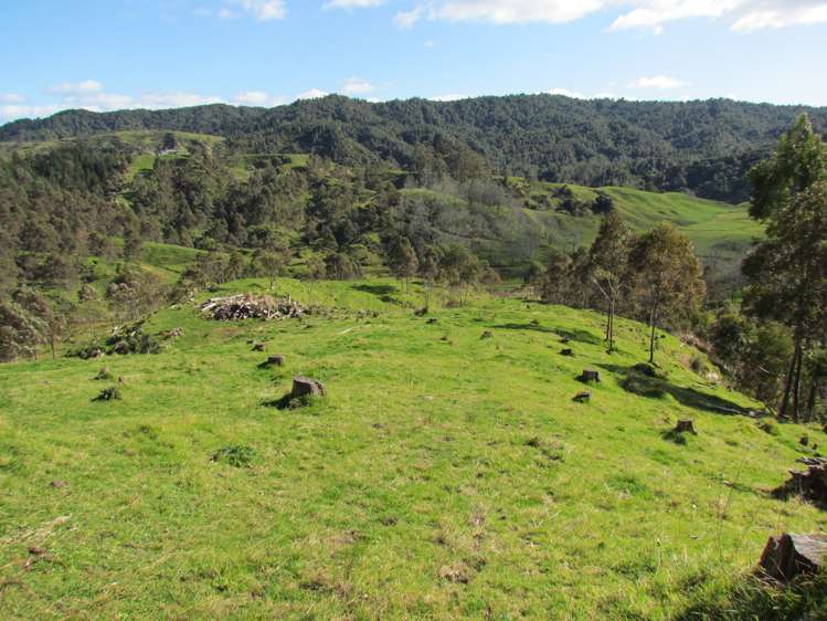 173 Luttrell Road Murupara Surrounds_5