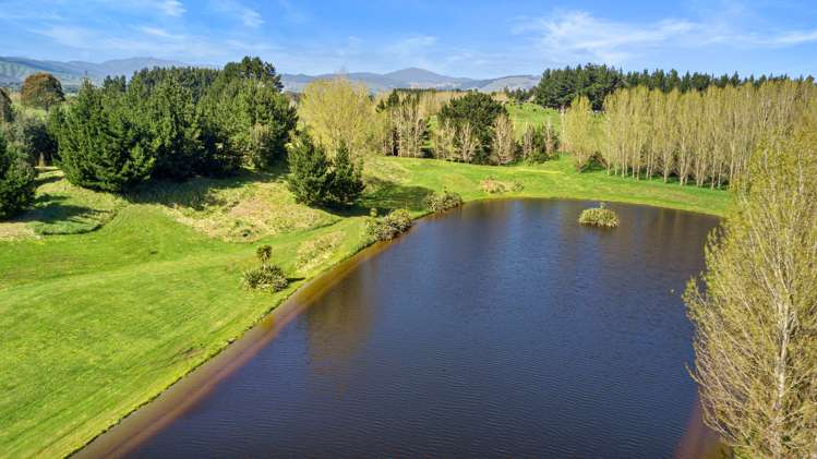 253 Taylors Road Otaki_5