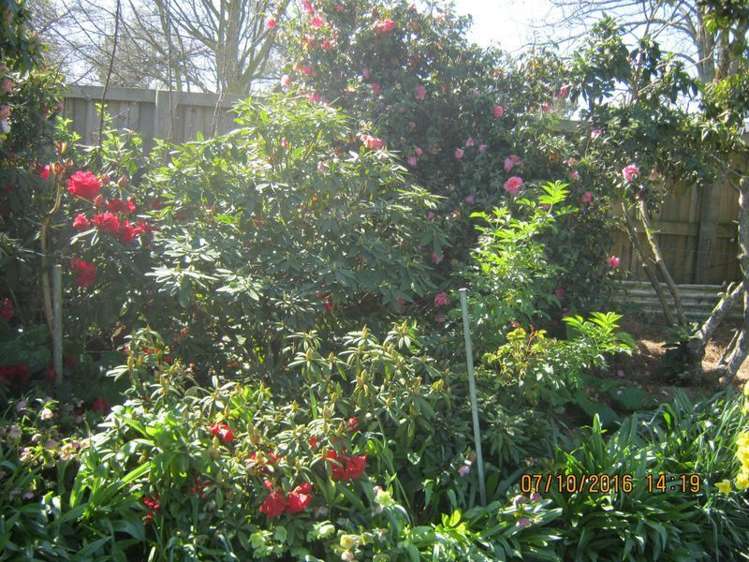 127 Main North Road Geraldine_8