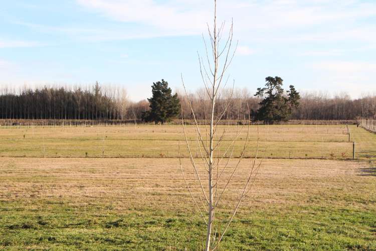 157 Orakipaoa Island Road Temuka_7