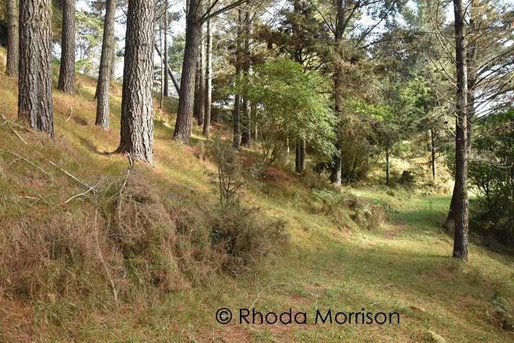 280 Central Road Mareretu_36