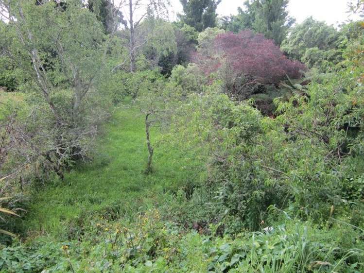 1 Crewe Street Pahiatua_6